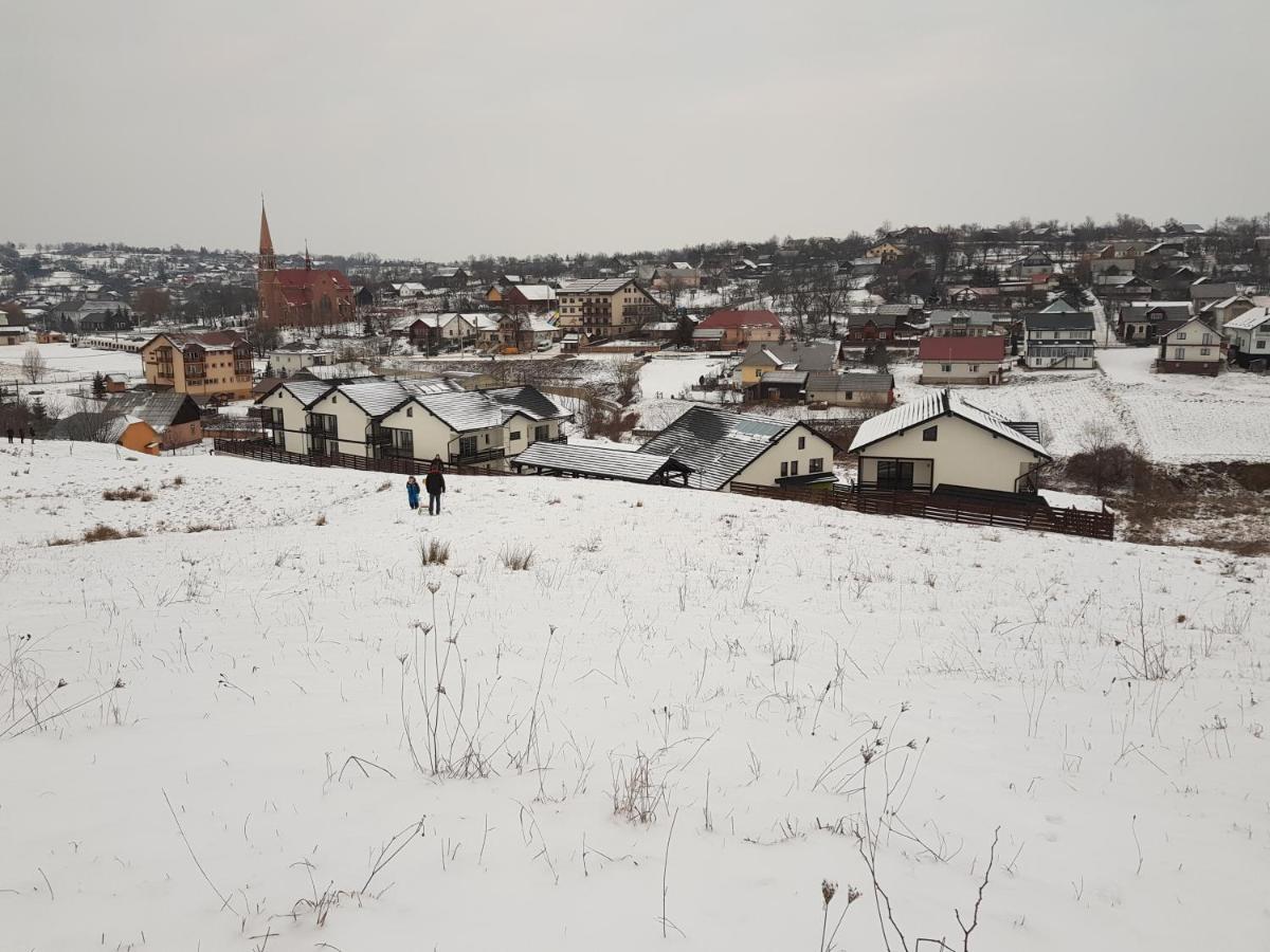 Sat De Vacanta Martisorul Cacica Dış mekan fotoğraf