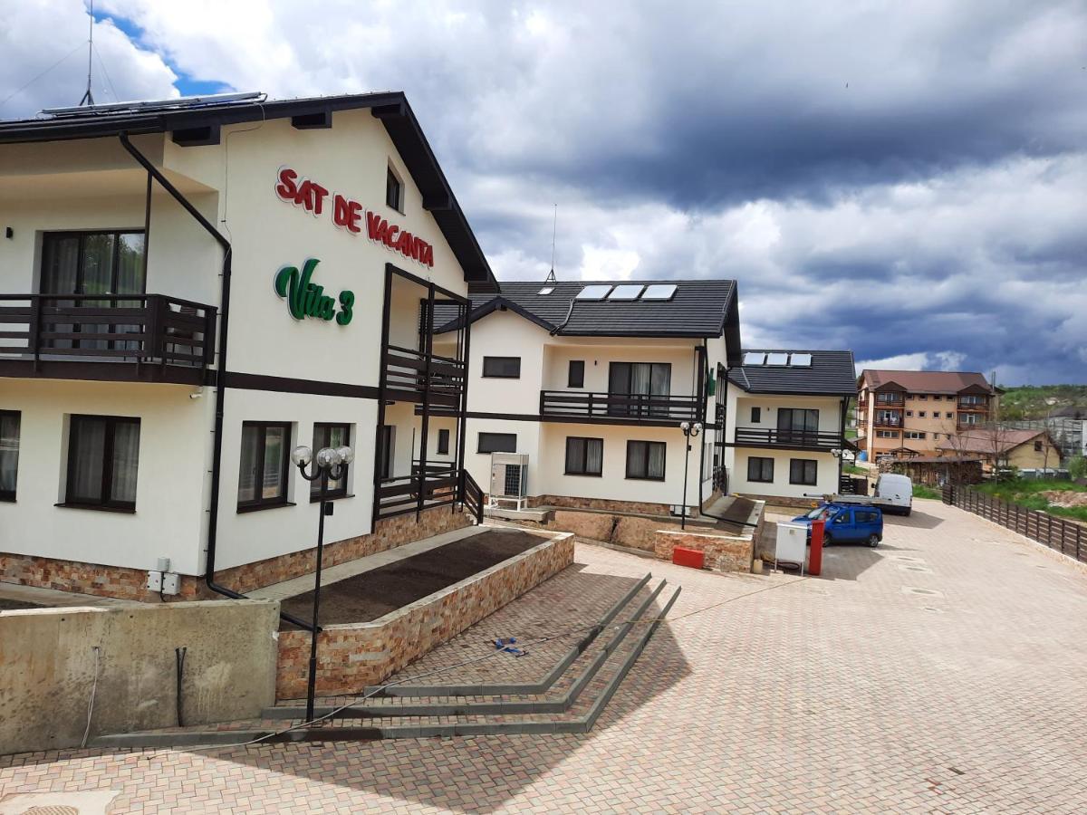 Sat De Vacanta Martisorul Cacica Dış mekan fotoğraf