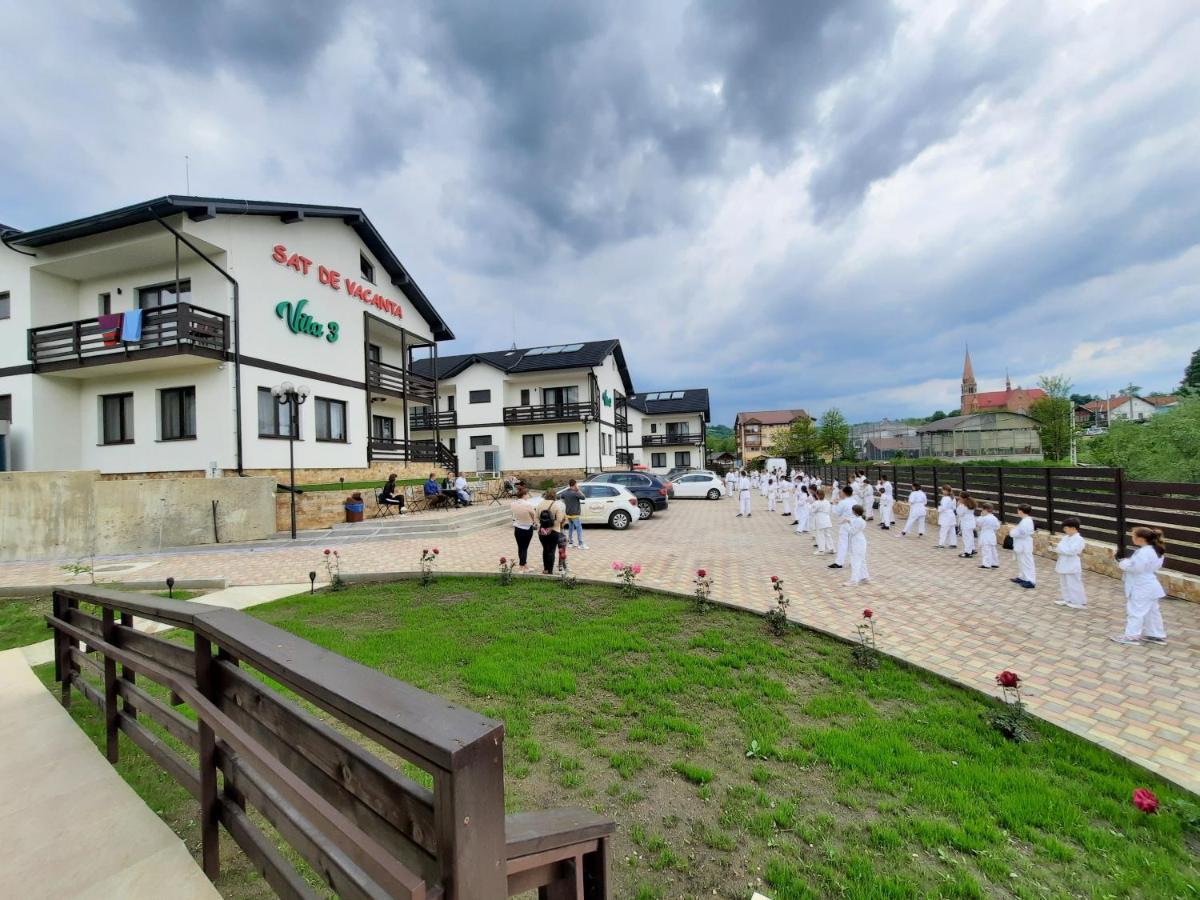 Sat De Vacanta Martisorul Cacica Dış mekan fotoğraf